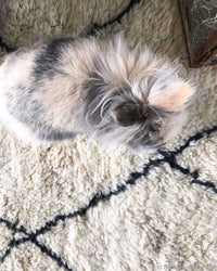 Thumbnail for Moroccan Custom Rug - Ettilux Home