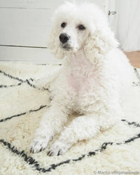 Thumbnail for Moroccan Custom Rug - Ettilux Home