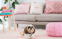 Thumbnail for Pink Pouf - Ettilux Home