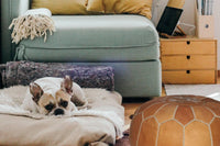 Thumbnail for set of 2 Genuine Leather Poufs - Ettilux Home
