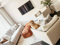 Thumbnail for Set of 2 Square Poufs - Ettilux Home