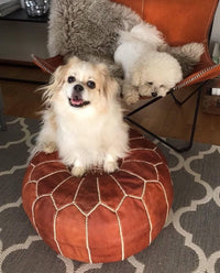 Thumbnail for Set of 4 Genuine Poufs - Ettilux Home