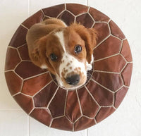 Thumbnail for Set of 4 Genuine Poufs - Ettilux Home