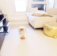 Thumbnail for Set of 4 Golden Poufs - Ettilux Home
